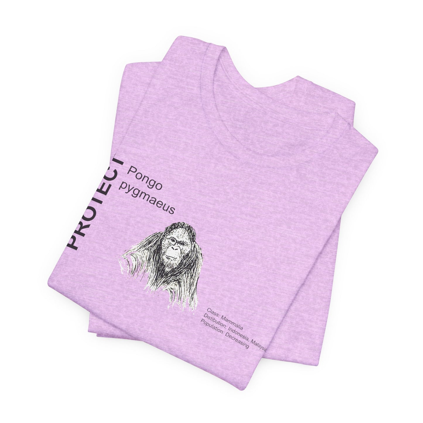Wildlife Protection Tee - Pongo pygmaeus