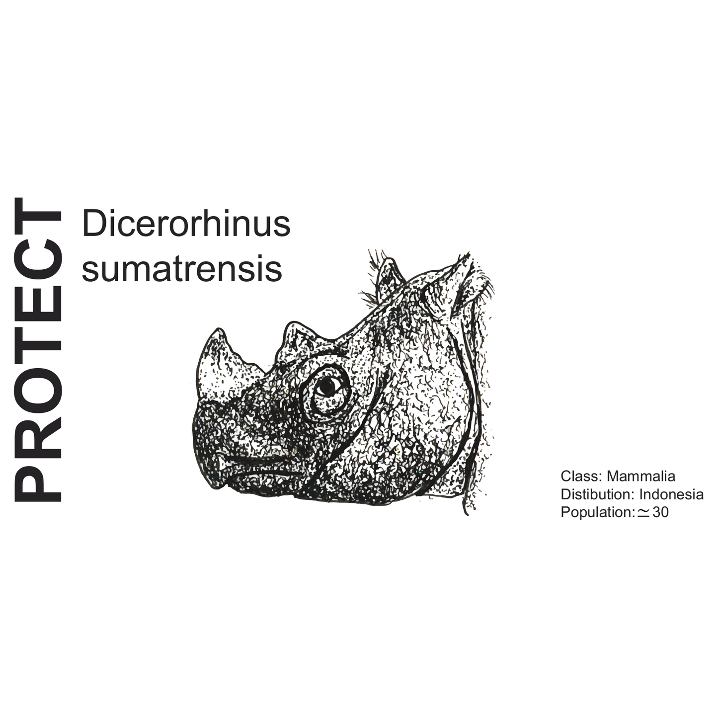Wildlife Protection Tee - Dicerorhinus sumatrensis