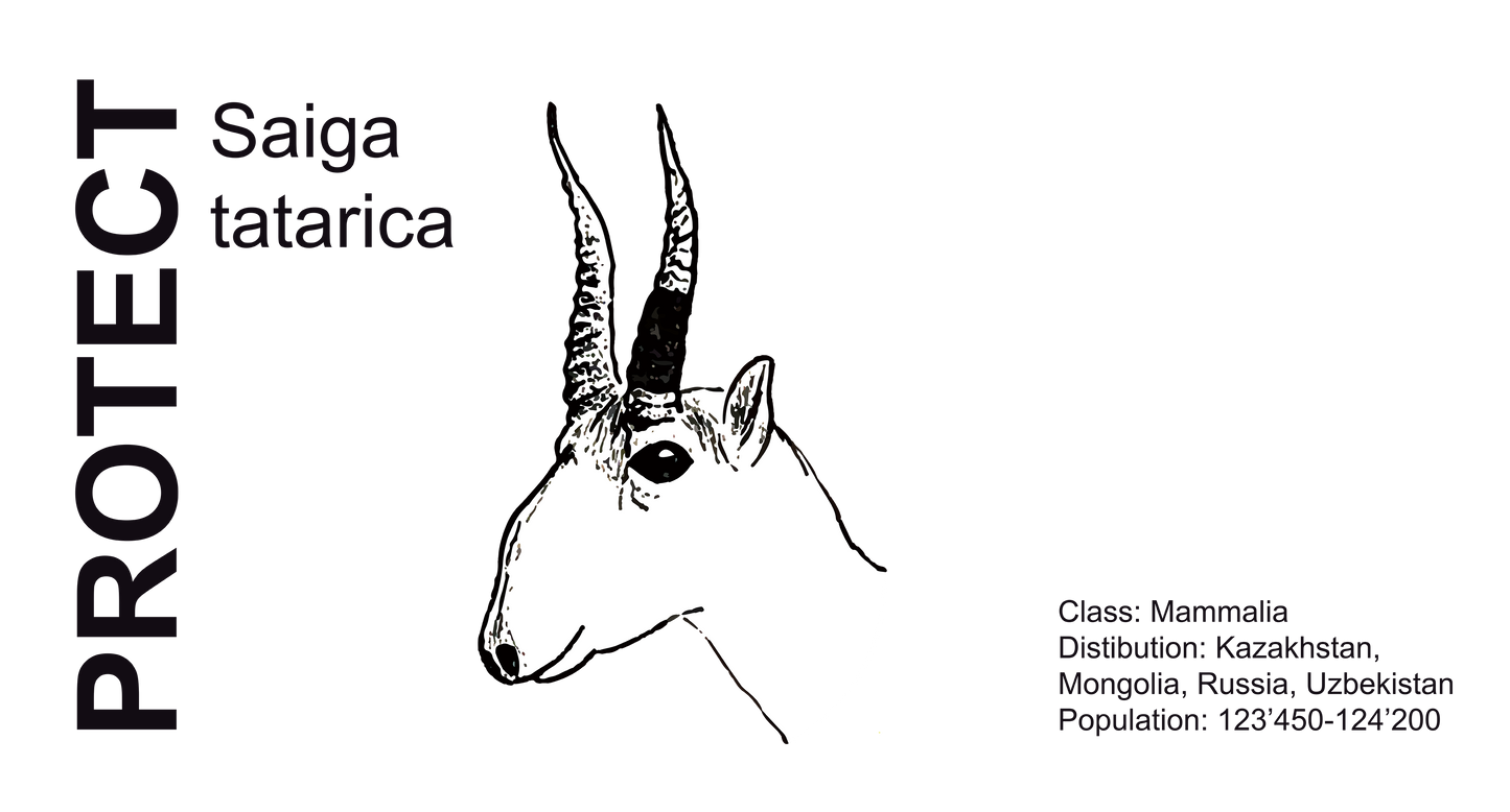 Wildlife Protection Tee - Saiga tatrica