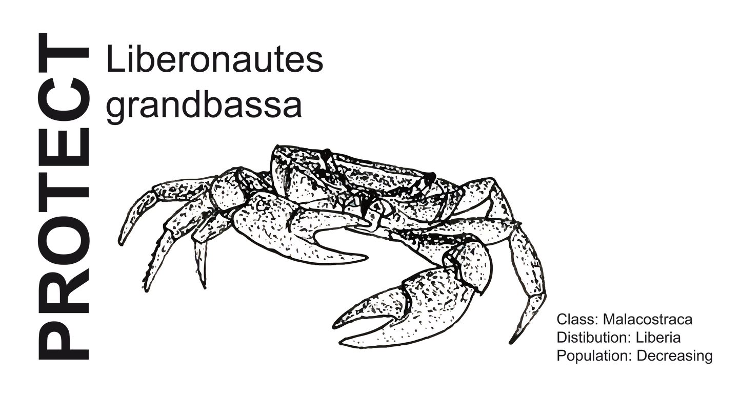 Wildlife Protection Tee - Liberonautes grandbassa