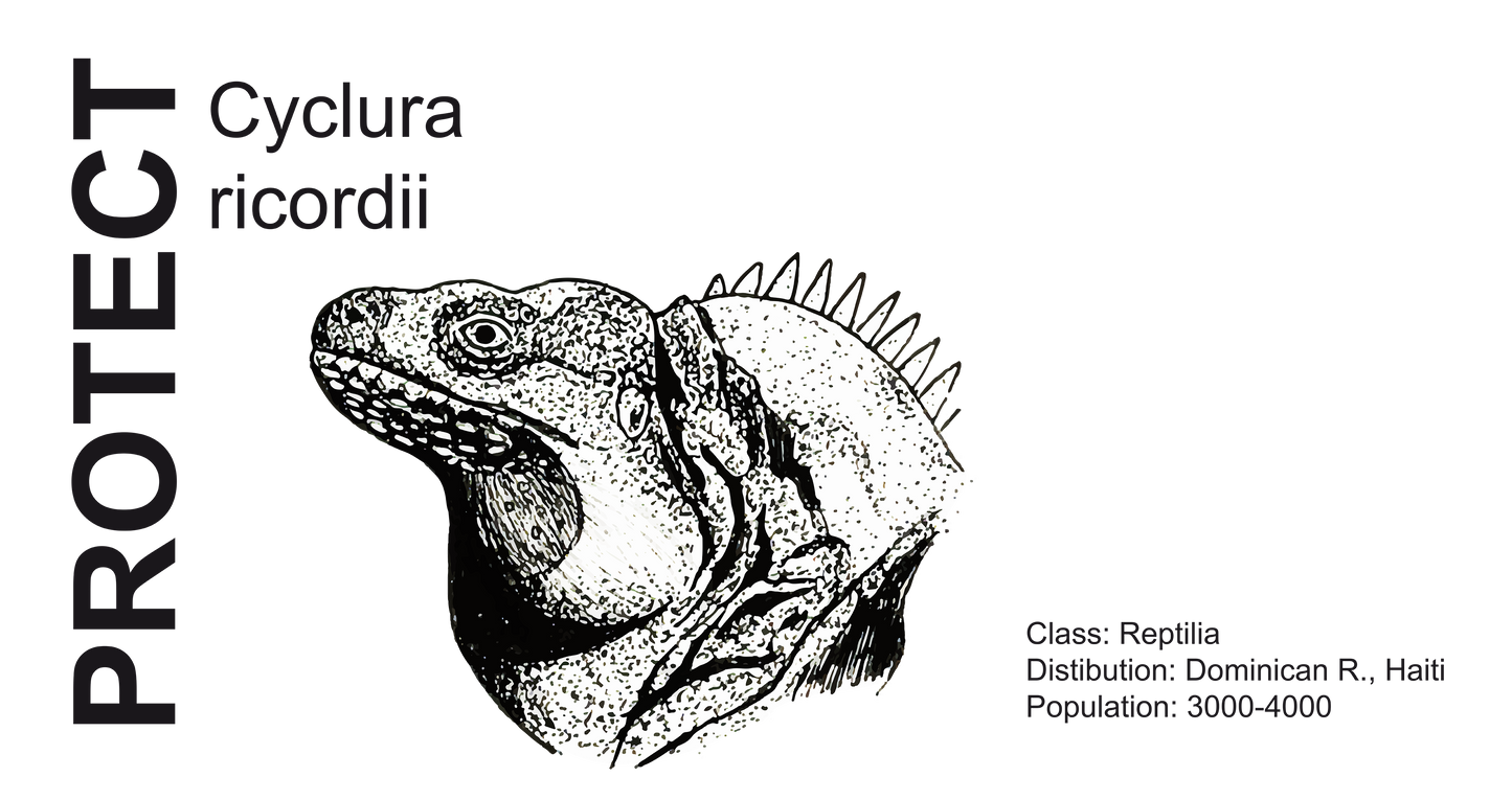 Wildlife Protection Tee - Cyclura ricordii