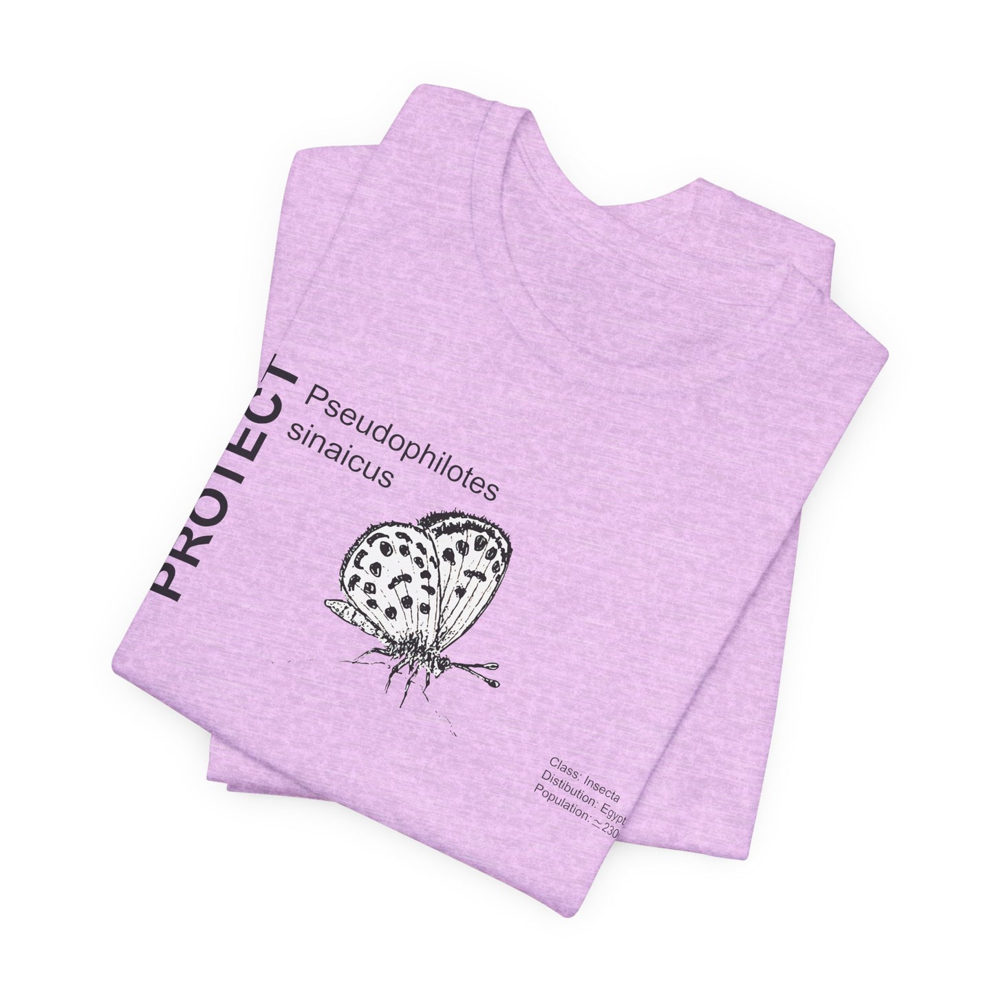 Wildlife Protection Tee - Pseudophilotes sinaicus