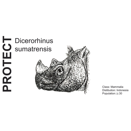 Wildlife Protection Tee - Dicerorhinus sumatrensis