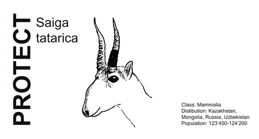 Wildlife Protection Tee - Saiga tatrica