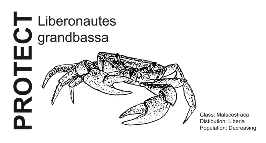 Wildlife Protection Tee - Liberonautes grandbassa