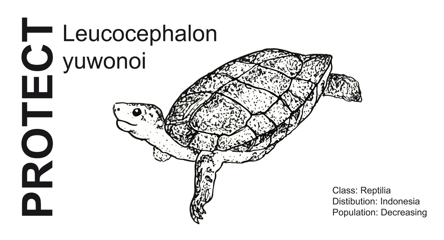Wildlife Protection Tee - Leucocephalon yuwonoi