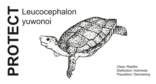 Wildlife Protection Tee - Leucocephalon yuwonoi
