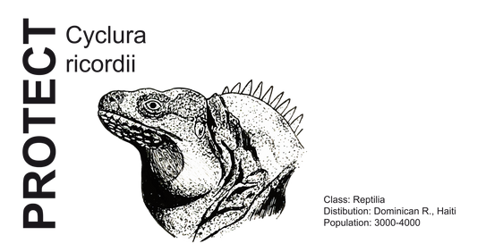 Wildlife Protection Tee - Cyclura ricordii
